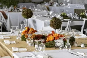 Party Equipment Rentals